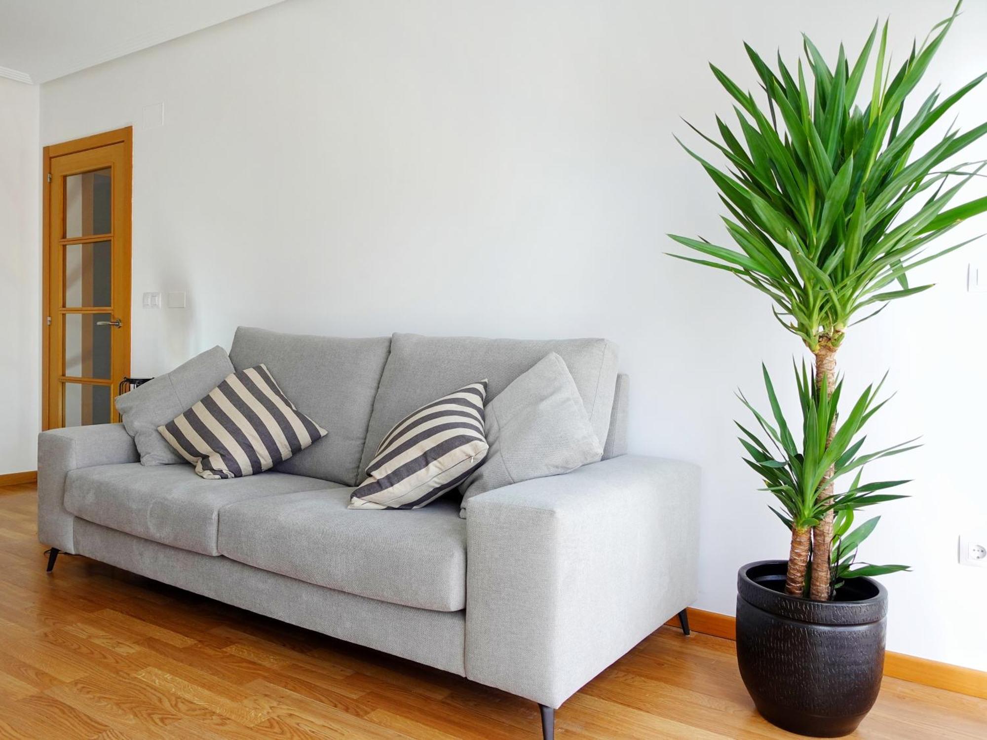 Atalaia Apartment Foz Bagian luar foto